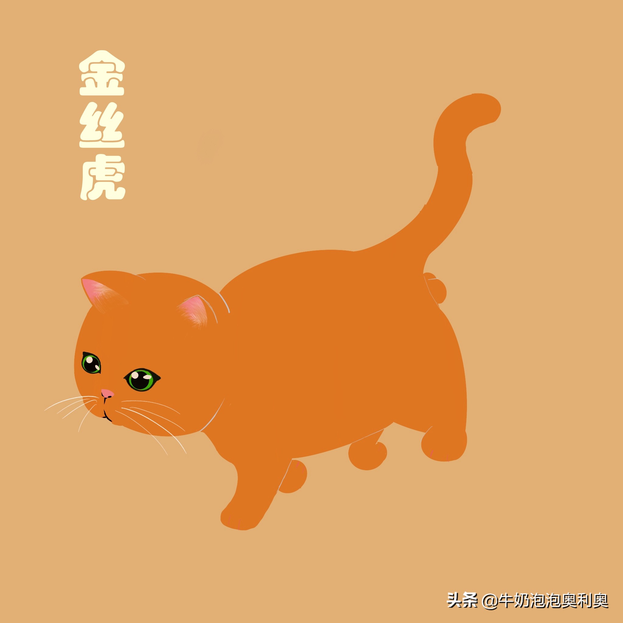 A complete collection of ancient cat names, full of Chinese charm, what
