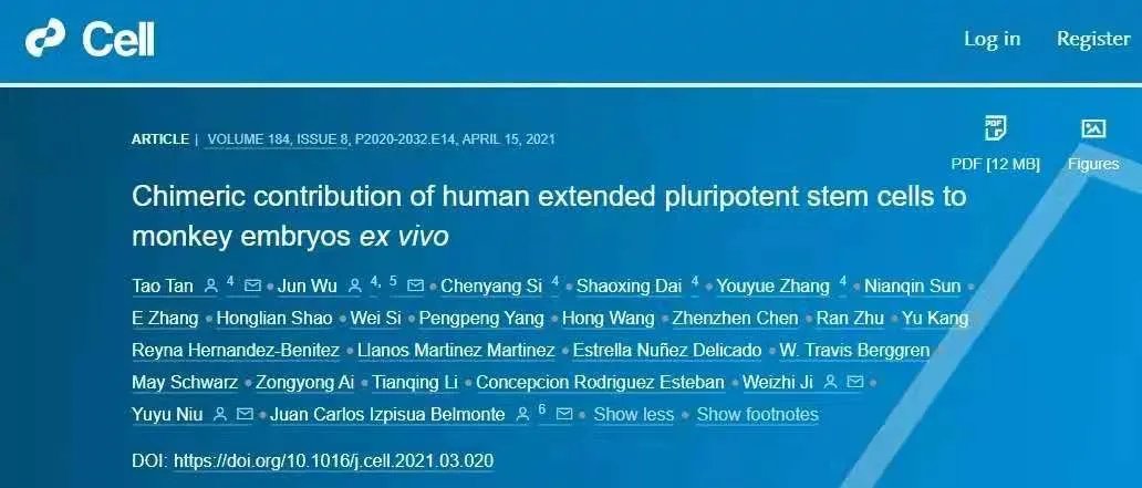 The world's first human monkey chimera is born!Provide an important ...