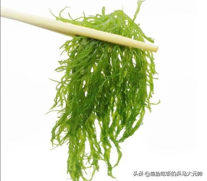 What is the difference between seaweed and seaweed?Some people can't ...