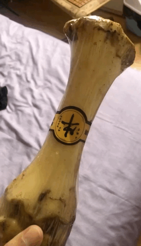 搞笑GIF动图：别看我摔了，姿势还是有的