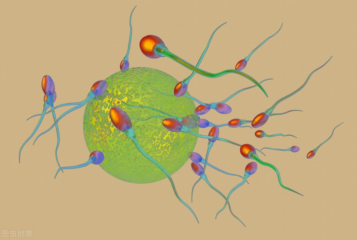 How long can sperm survive in a woman's body?The body has these 5