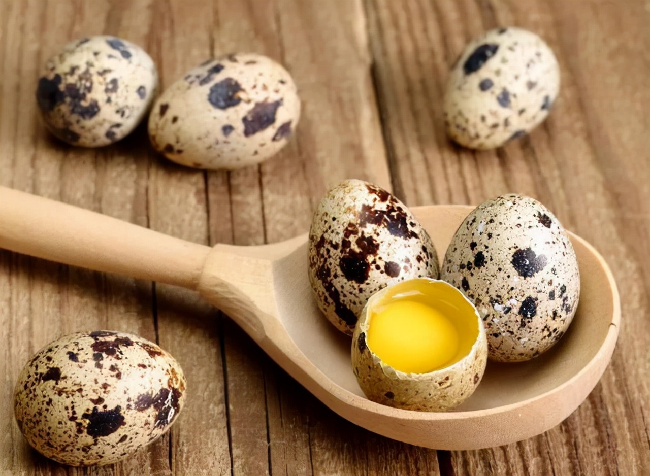 Eating quail eggs frequently may bring 4 "benefits" to the body. You