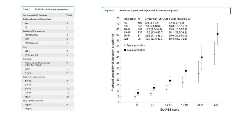 How to evaluate the stability of intracranial aneurysms? - iNEWS