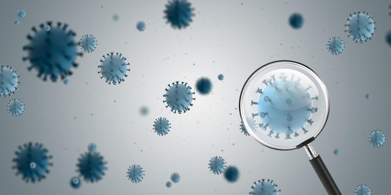 After Delta, the new mutant strain of Lambda appears, will it be more