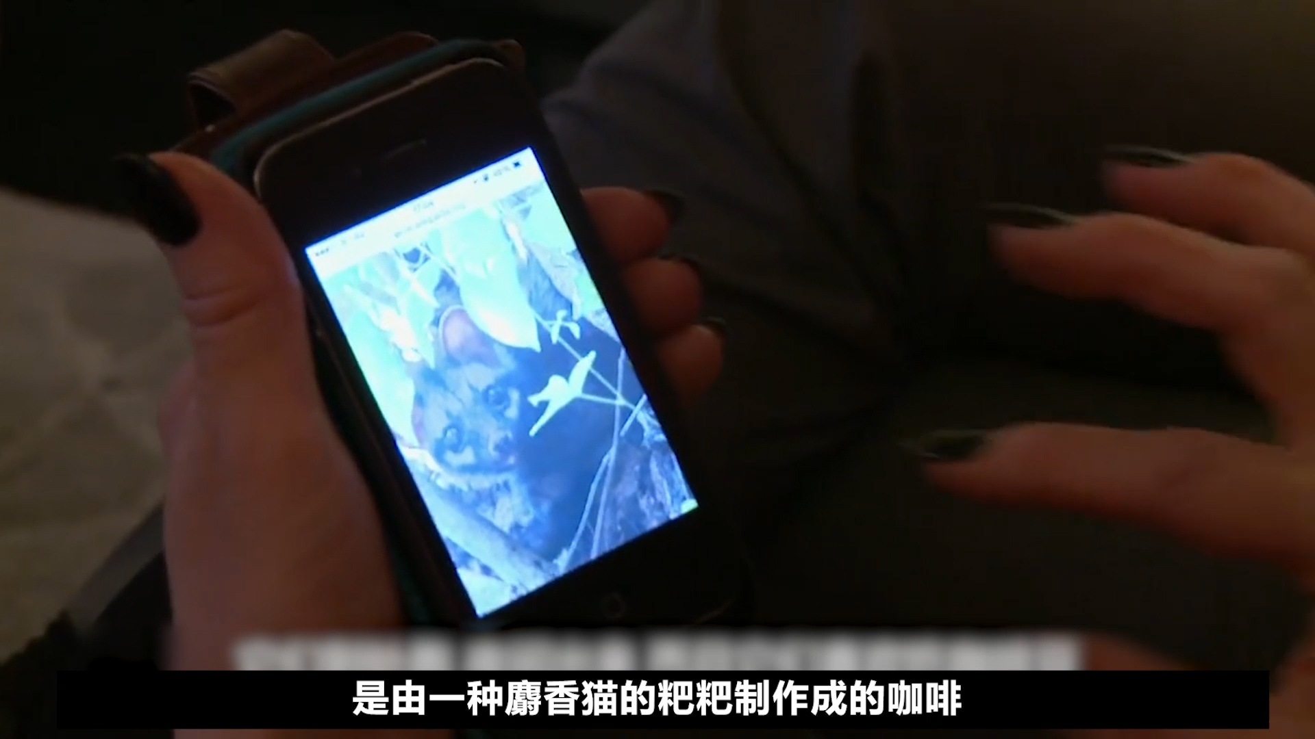 What do billionaires eat?Expensive beyond imagination, bluntly cooked