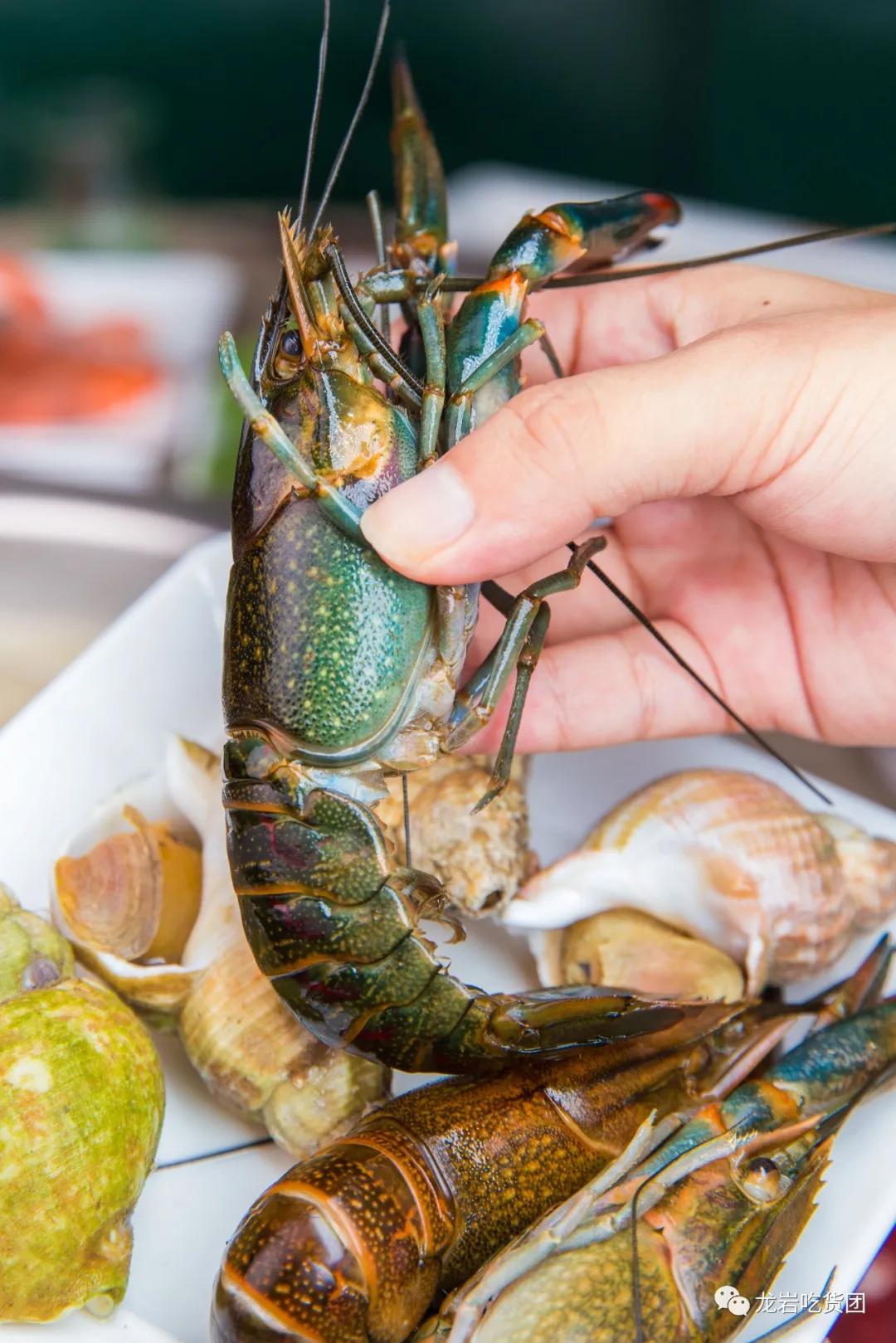 Allyoucaneat hot pot!Seafood + beef + lamb...unlimited home run with