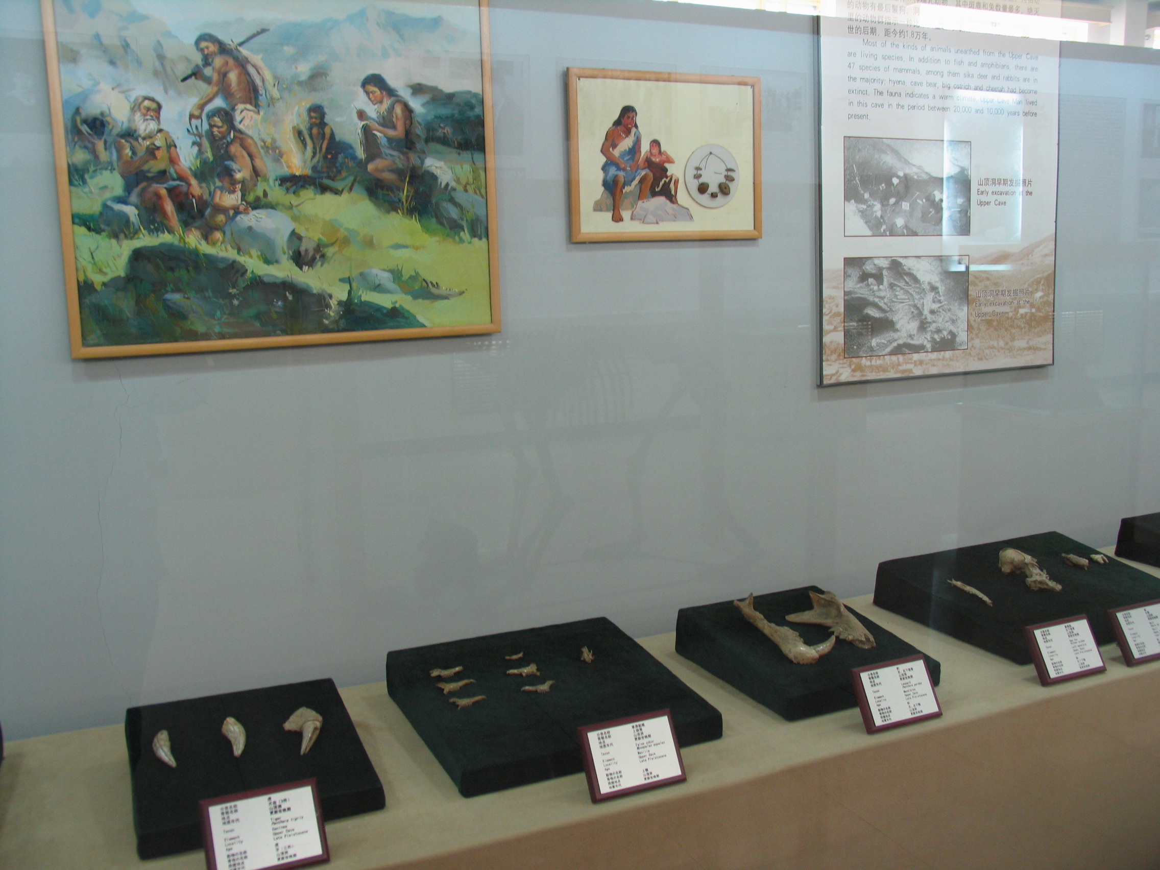 Zhoukoudian Peking Man Site iNEWS