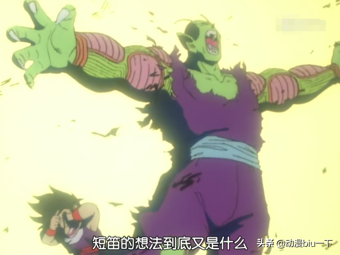 Compared with the firstgeneration Piccolo, why doesn't the secondgeneration Piccolo give birth