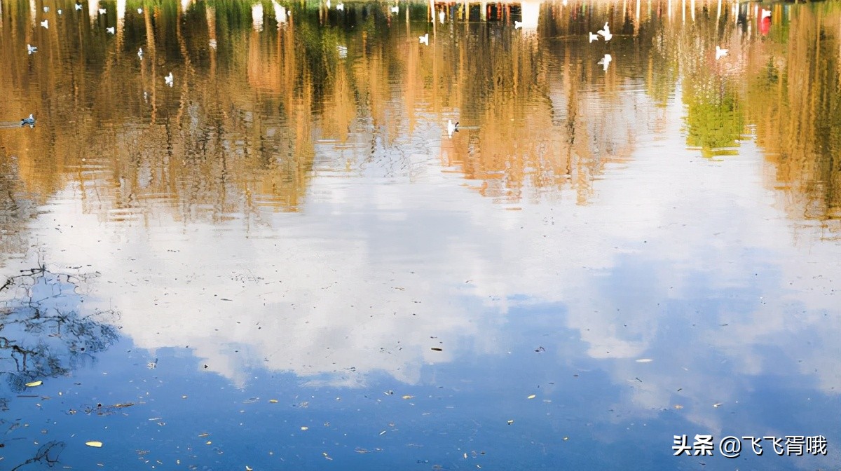 Provinces with the best climate in China spring all year round