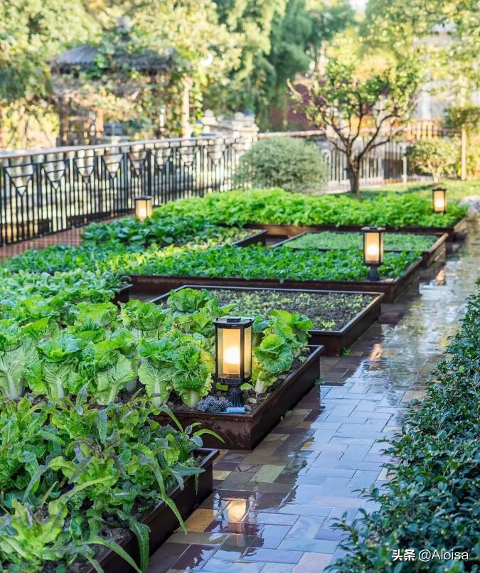 Landscape vegetable plotyour vegetable plot is your garden iNEWS