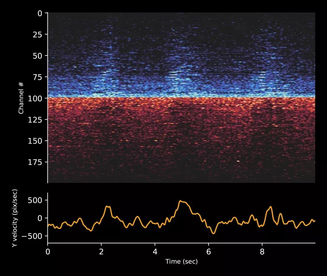 Musk's latest breakthrough in brain-computer interface: monkeys play ...