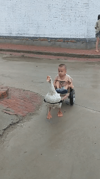 搞笑动图GIF：力太大，妹子这样做肯定是有效果的吧！