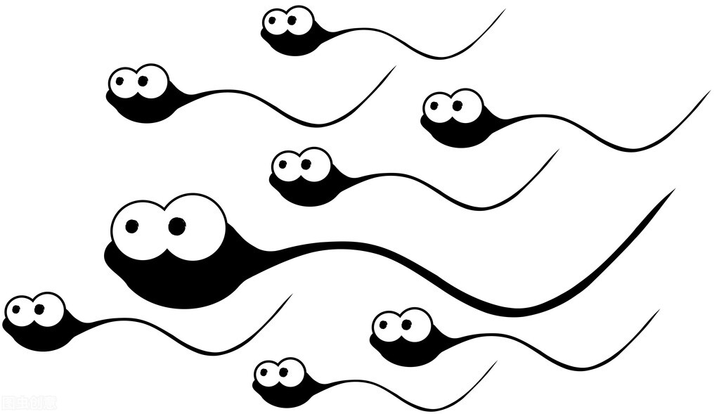 How long can sperm survive in a woman's body?The body has these 5