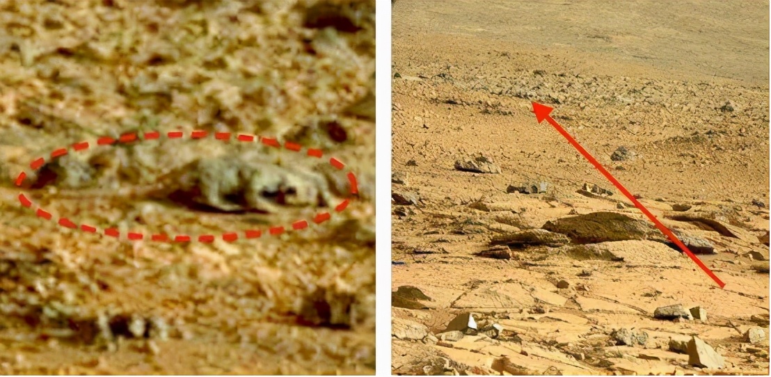 Did the rover discover life on Mars very early?Opportunity photographed ...