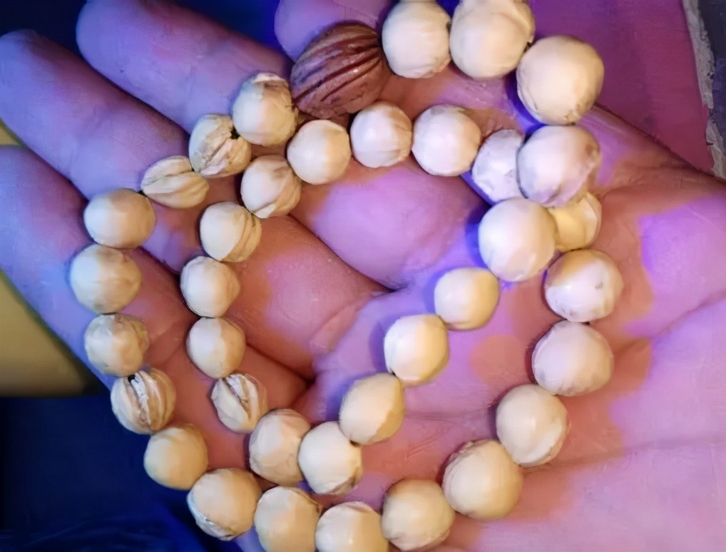 Don't throw away the cherries after eating!All treasures iNEWS