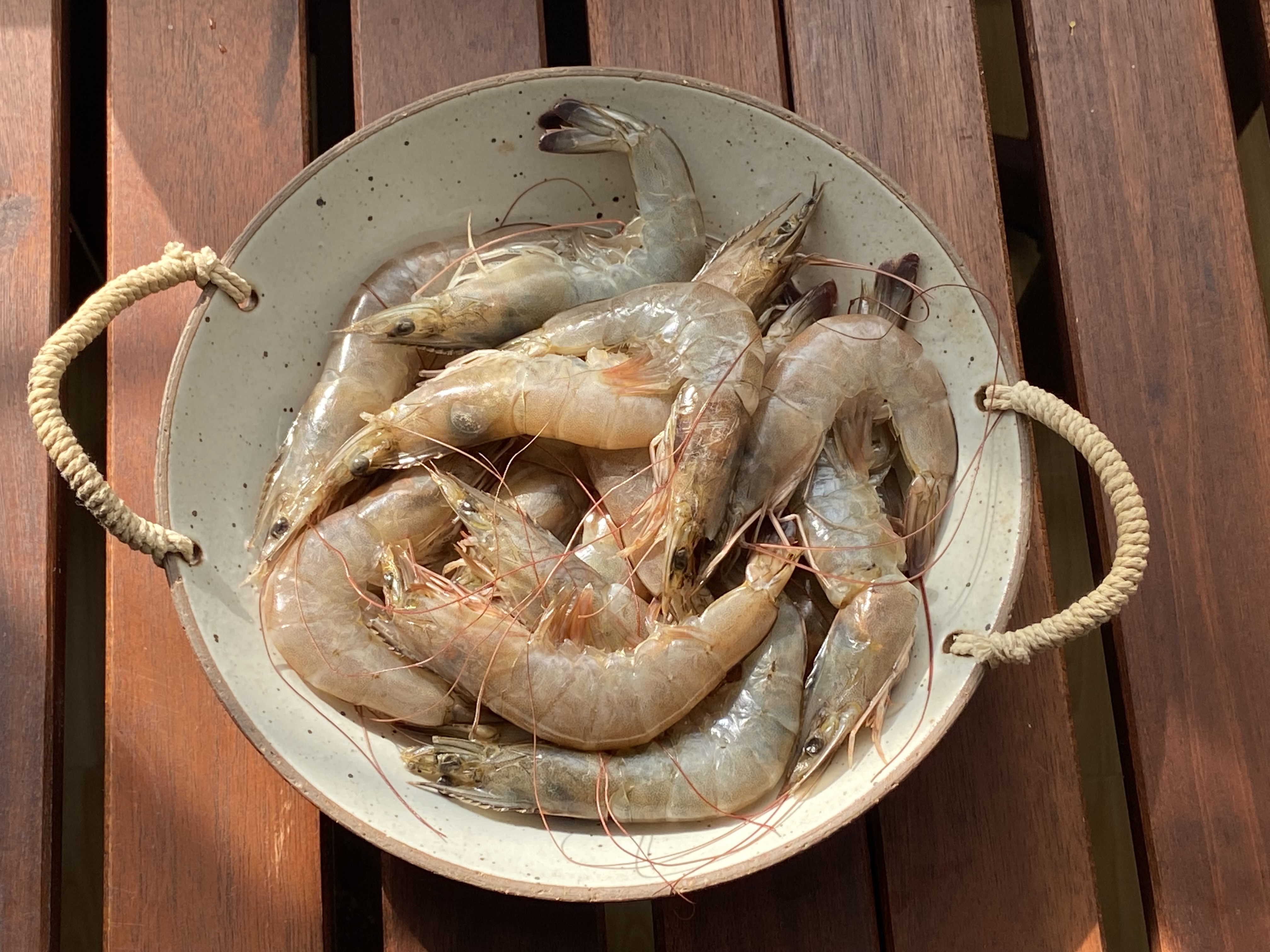 You can cook salt and pepper grilled shrimp in the spike barbecue