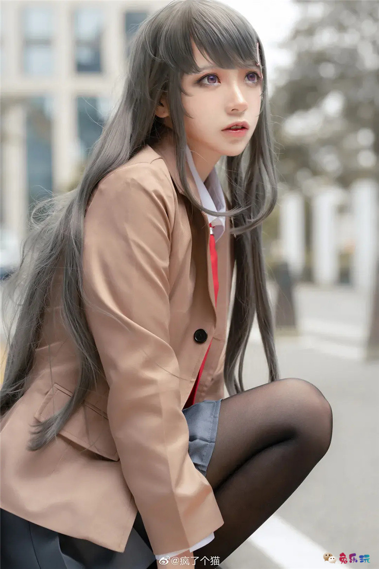 疯了个猫丨《青春猪头少年系列》樱岛麻衣