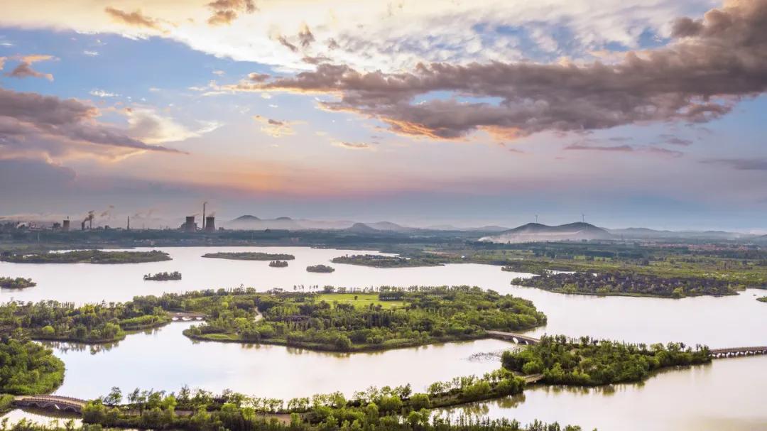 这个苏北城市的银杏美了千年现在正是游玩的好时节