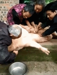 搞笑动图GIF图片：别闹，我和她闹着要呢！