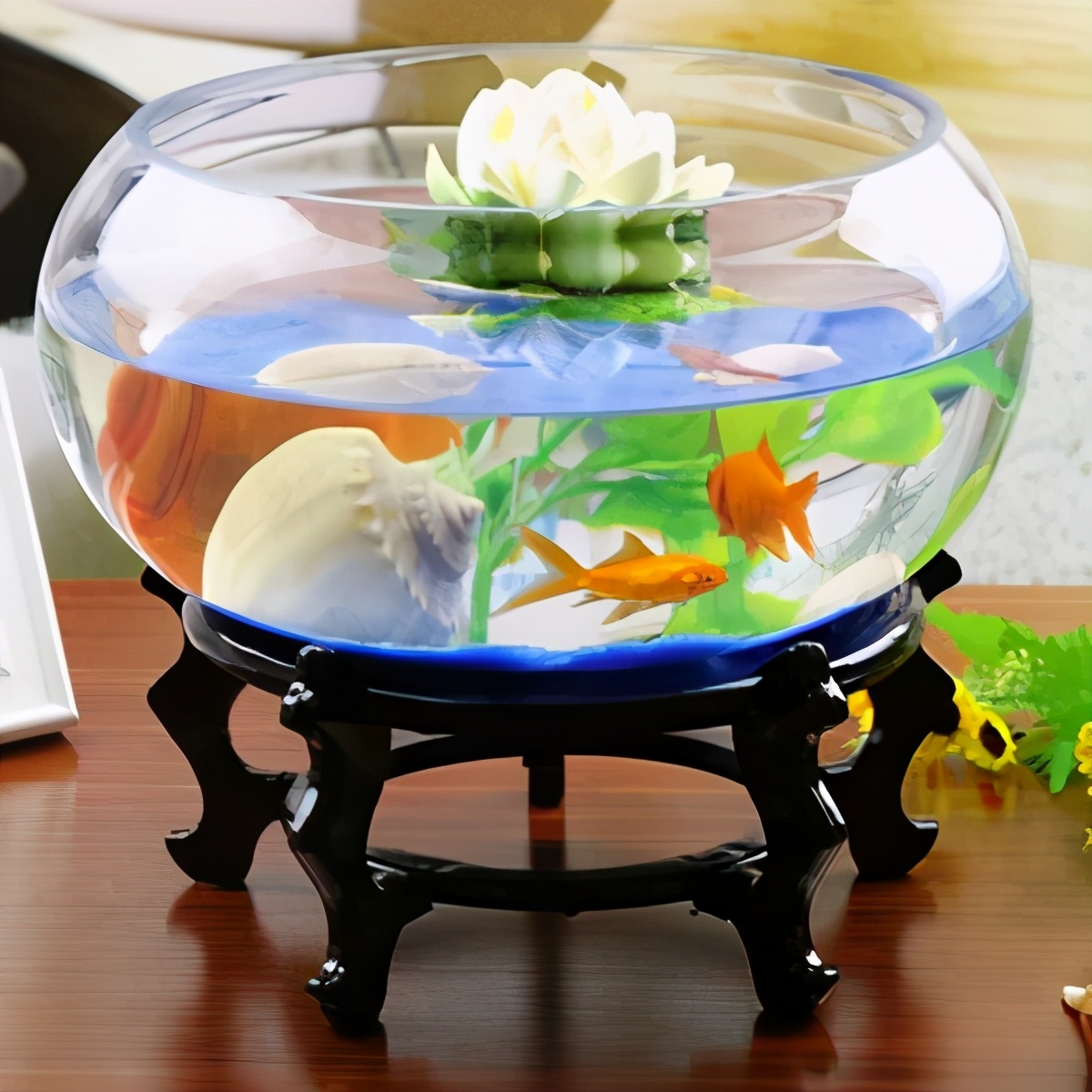 Small Fish Bowl Aquarium for Goldfish, Mini Aquarium Tank, Desktop