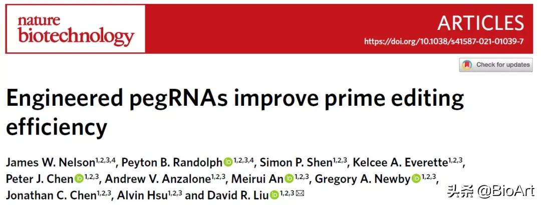 Liu Ruqian's Team Transforms Prime Editing Guide RNA To Effectively ...