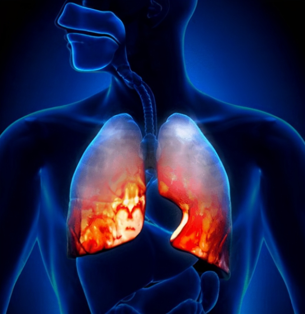 Can't eat eggplant with bad lungs?Reminder Nourish the lungs and