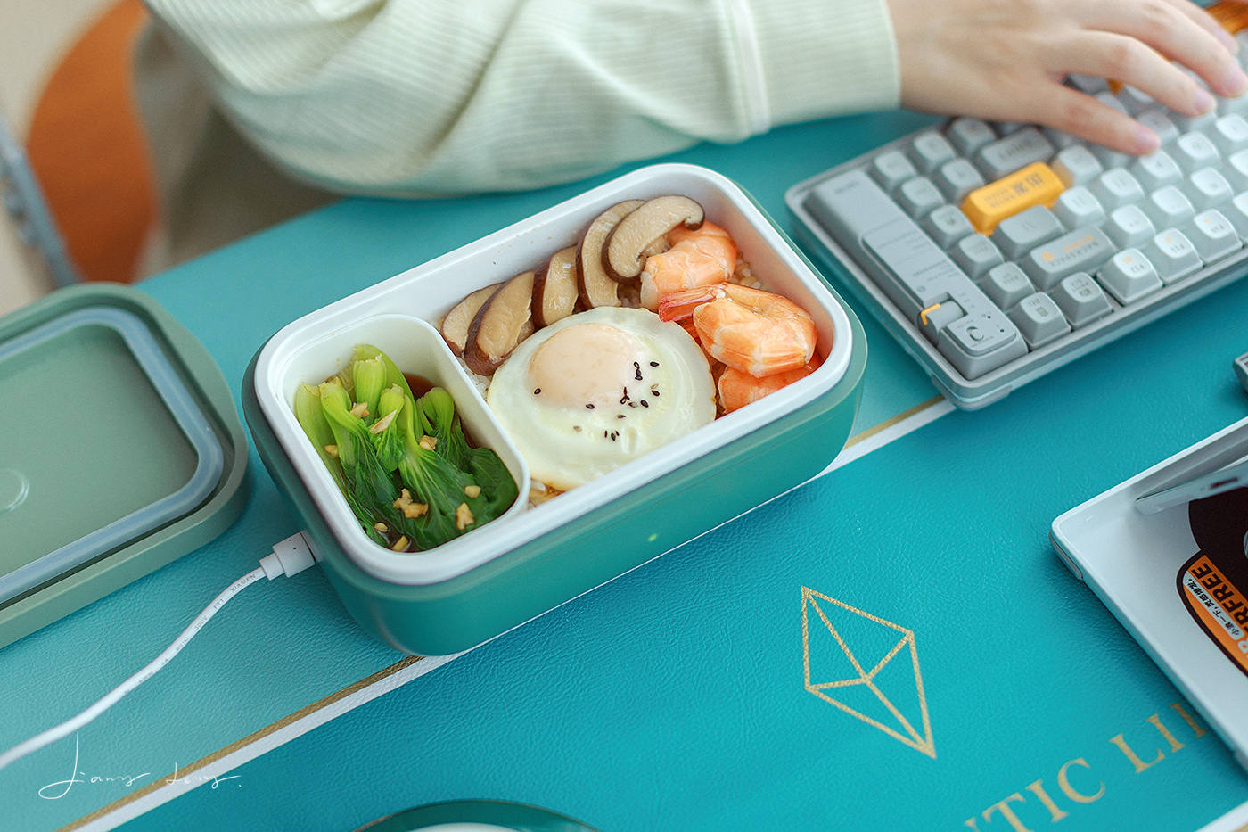 Musthave for workers electric lunch box with full body washing and no