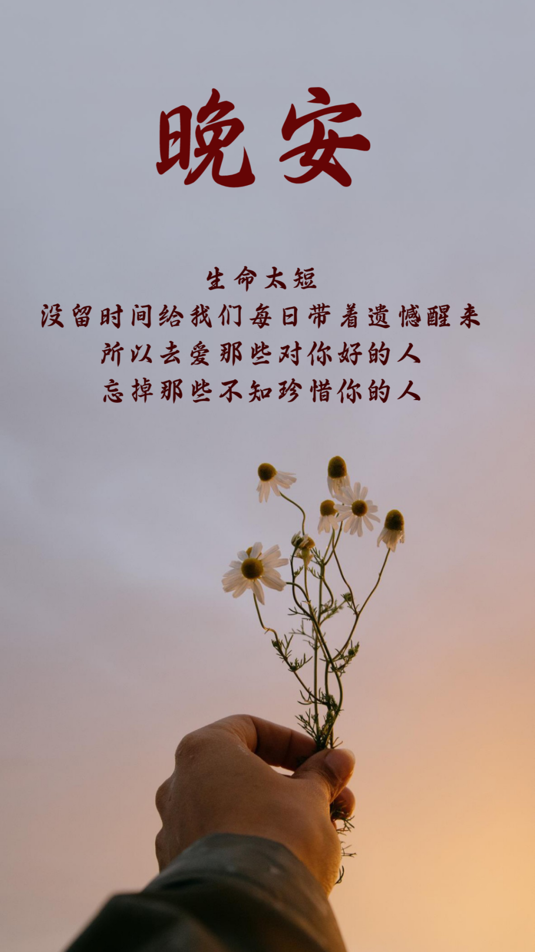 朋友圈的13晚安说说句子，每一句都很喜欢，戳人心窝