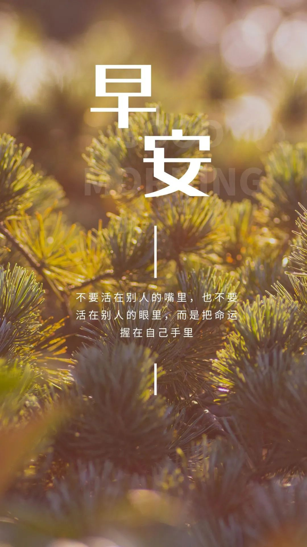 朋友圈激励人心的早安图片说说