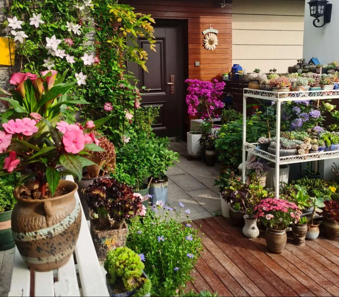 The temperature rises, the 6 kinds of flowers need to "dormant", less