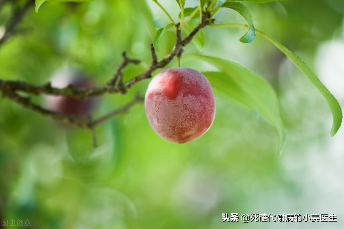 High uric acid/gout?How to choose fruits to adjust uric acid according