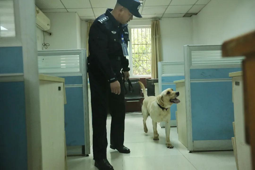 警犬|警汪出击，巅峰对决！这波本领秀真的很可~~~