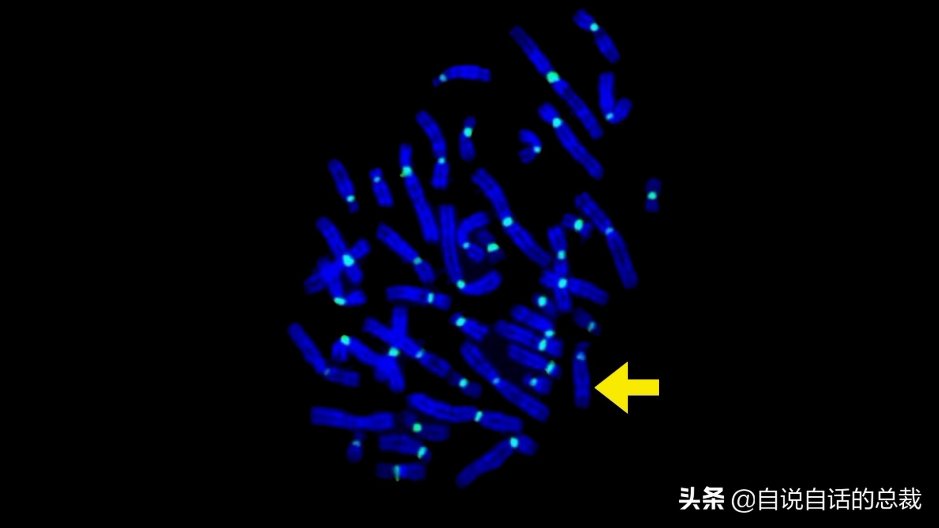 Genetics Lock Screen The sealed giant is on human chromosome 17. Can humans unlock this ...