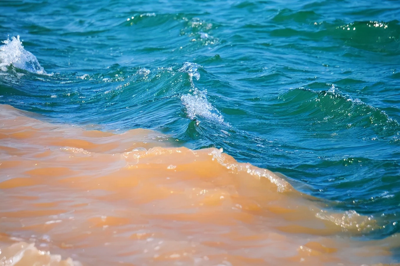 The first stop, the Yellow River enters the sea! iNEWS