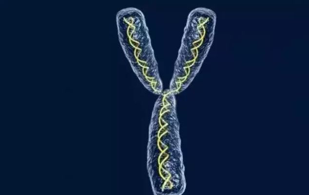 Xy Person Chromosome XY is male and XX is female. Are there people with YY?What's ...