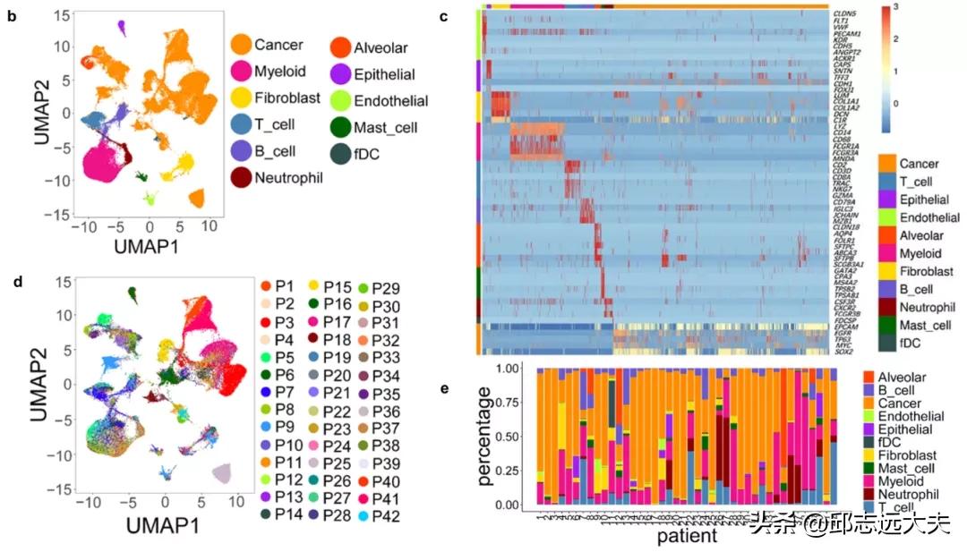 Single Cell Analysis Of Tumor Heterogeneity And Microenvironment In Advanced Non Small Cell Lung