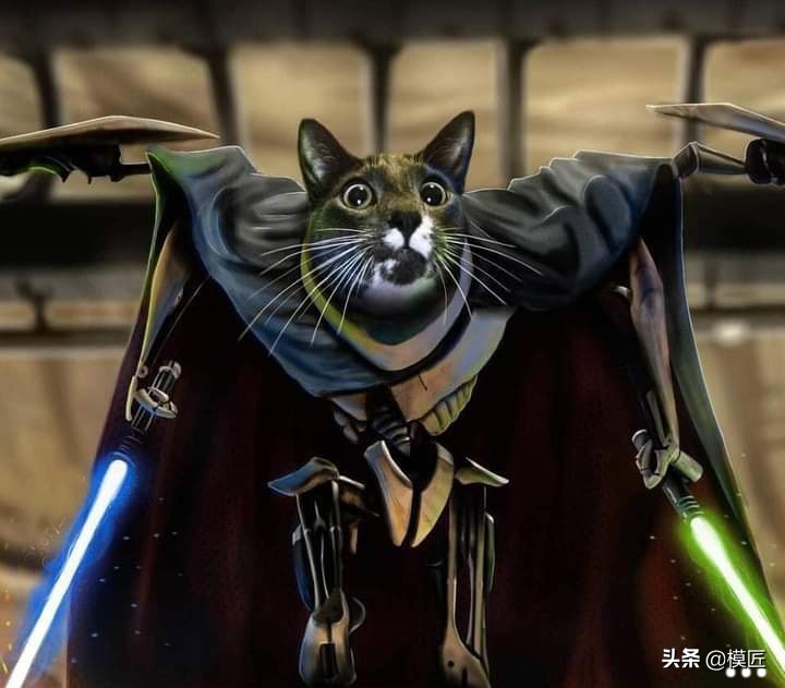 The omnipotent cat starred in an epic blockbuster 