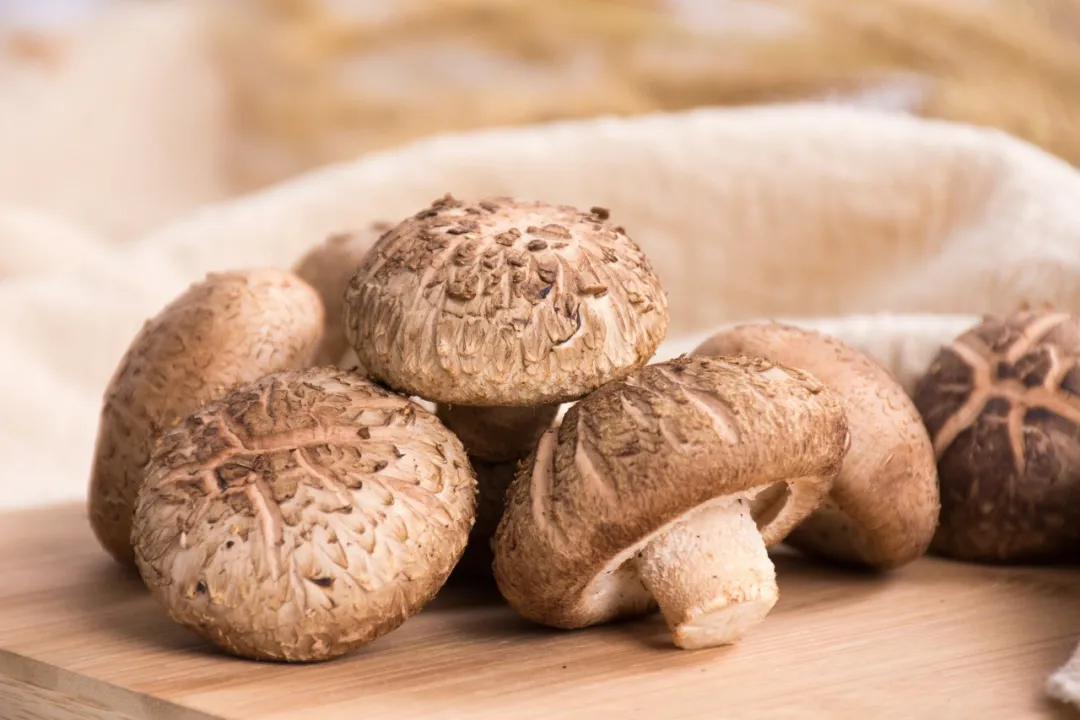 Can't you eat tofu, cauliflower, and shiitake mushrooms?Many people
