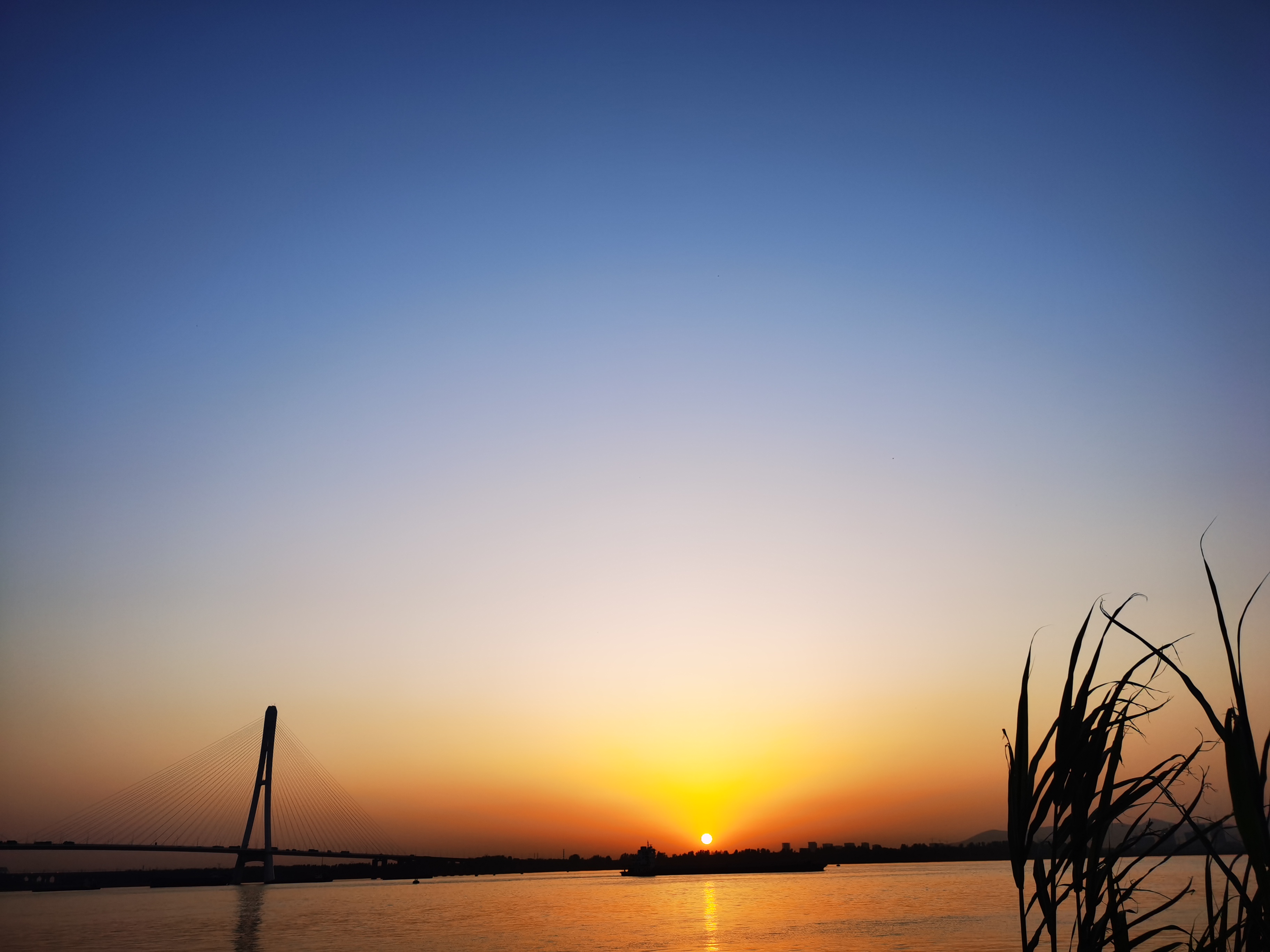 Nanjing River View TOP1.—Hexi Yuzui Wetland Park - iNEWS