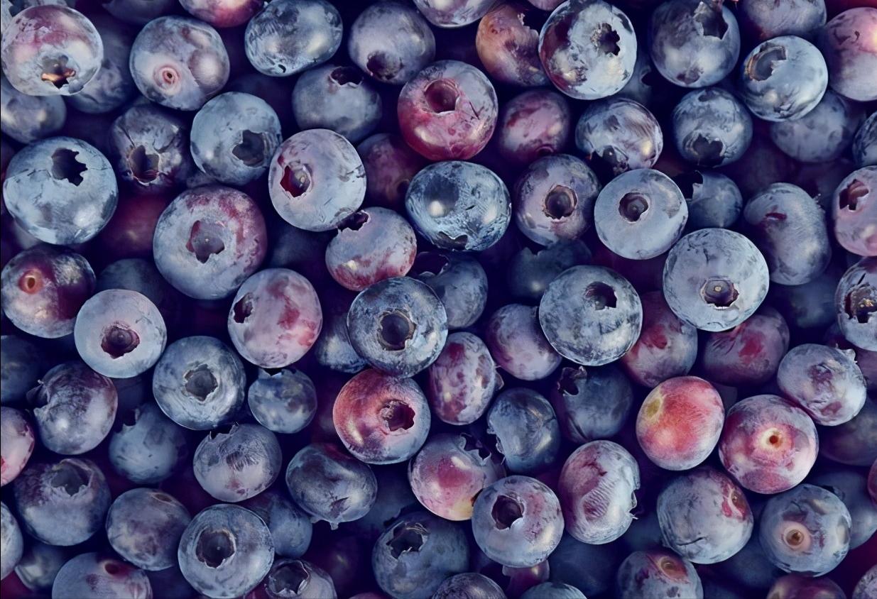 Homegrown blueberries, it's important to choose the right variety