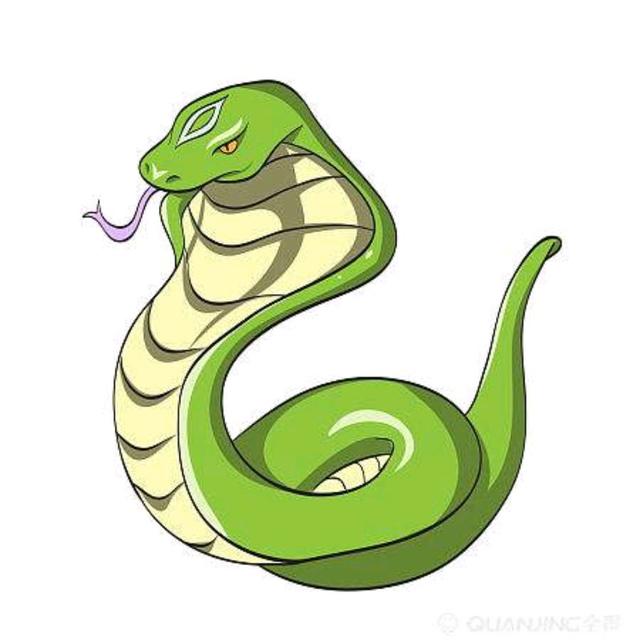 What medicine do snakes fear most?You will understand after reading it