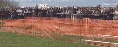 爆笑动图GIF：舔狗被女神无视，就是这个画面了！