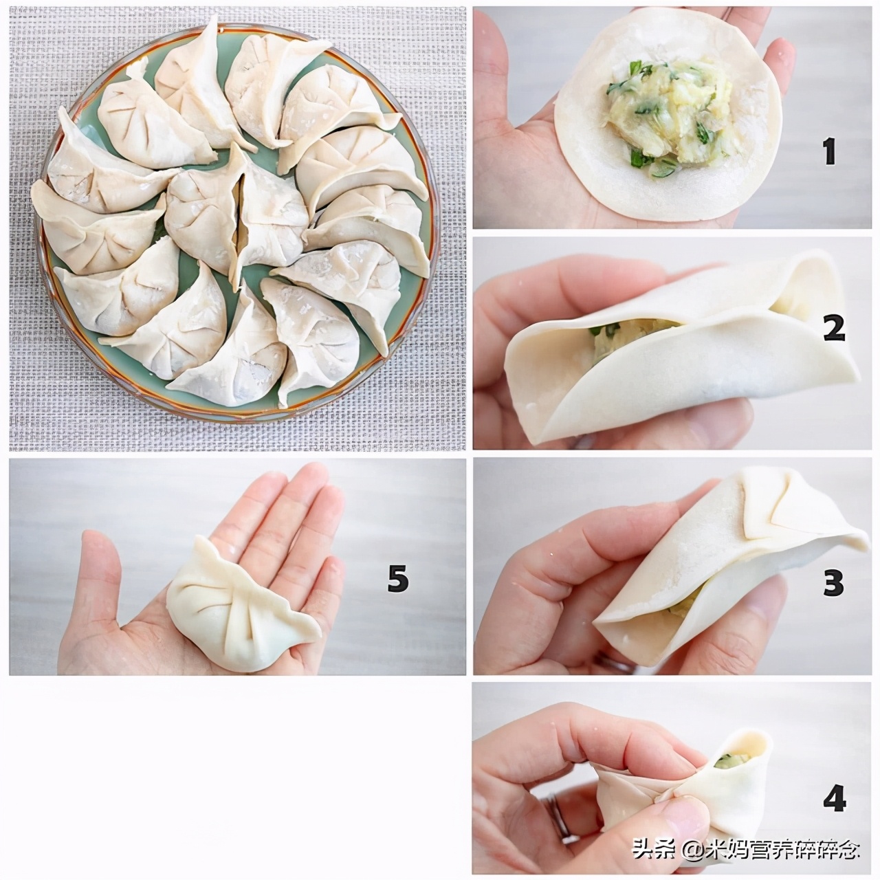 Dumplings are weight loss mines? Lowcalorie cabbage chicken dumplings