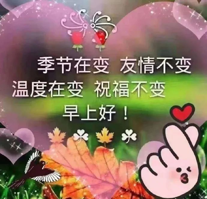 秋天早上好图片表情问候语句子