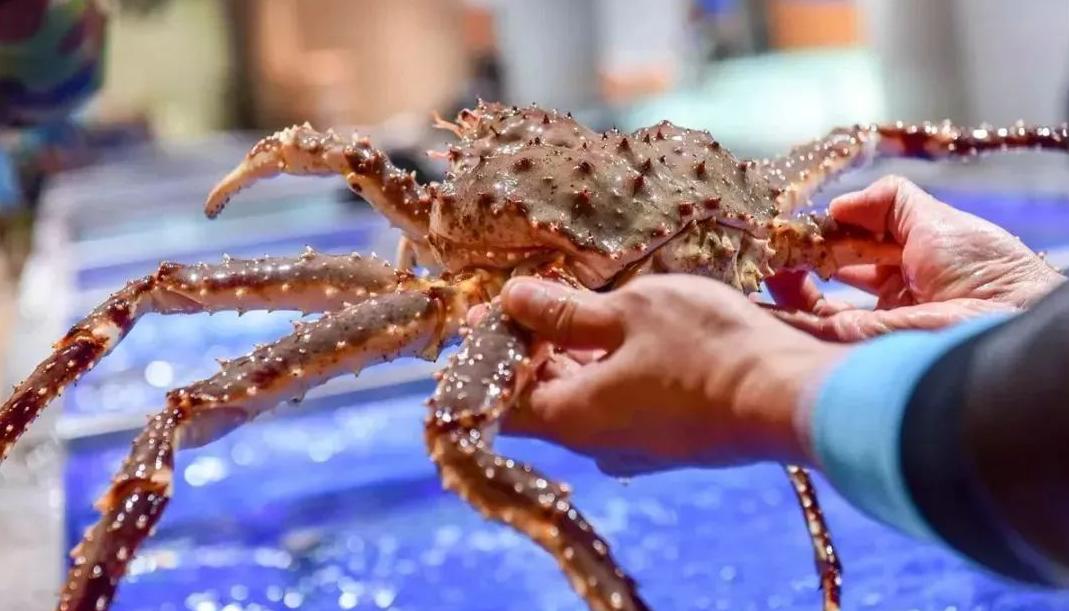 Why is king crab so expensive?Chinese king crabs are all imported, so