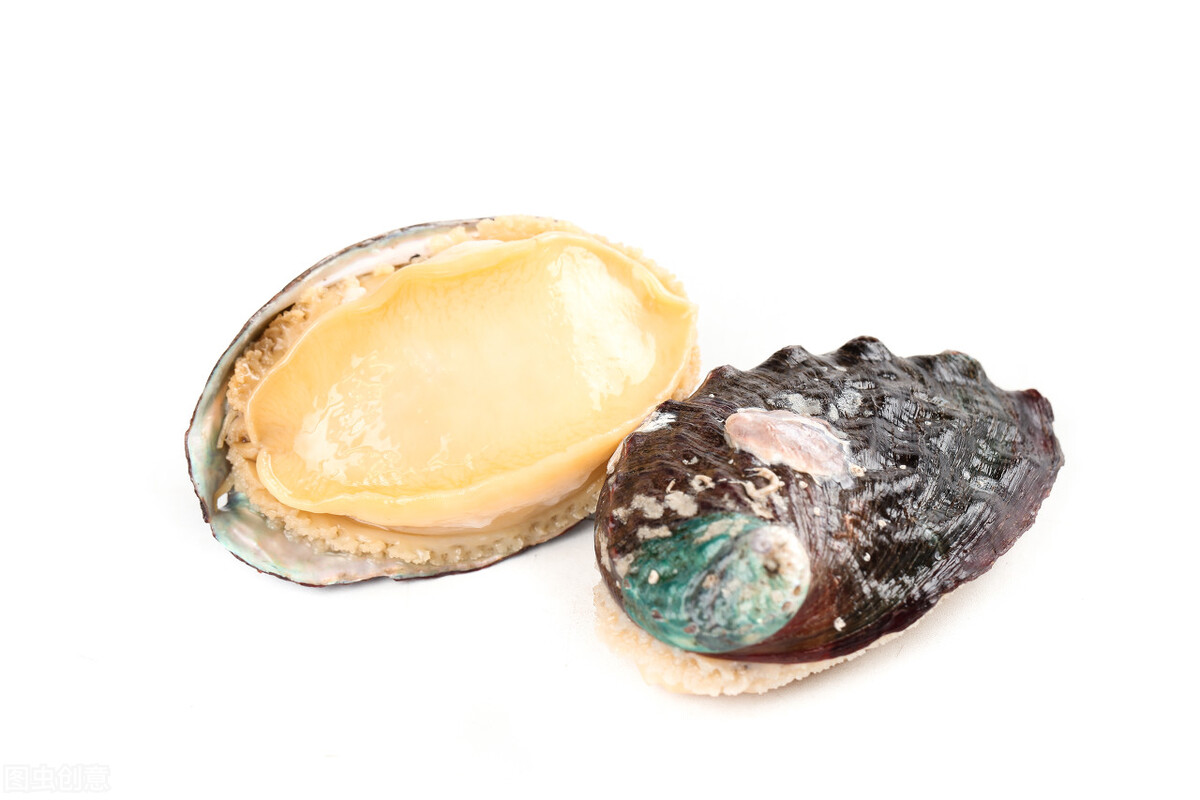 One Health Tips How to keep fresh abalone for a long time?Can fresh