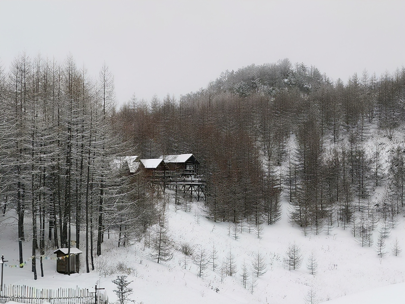 Shennongjia Winter Inews