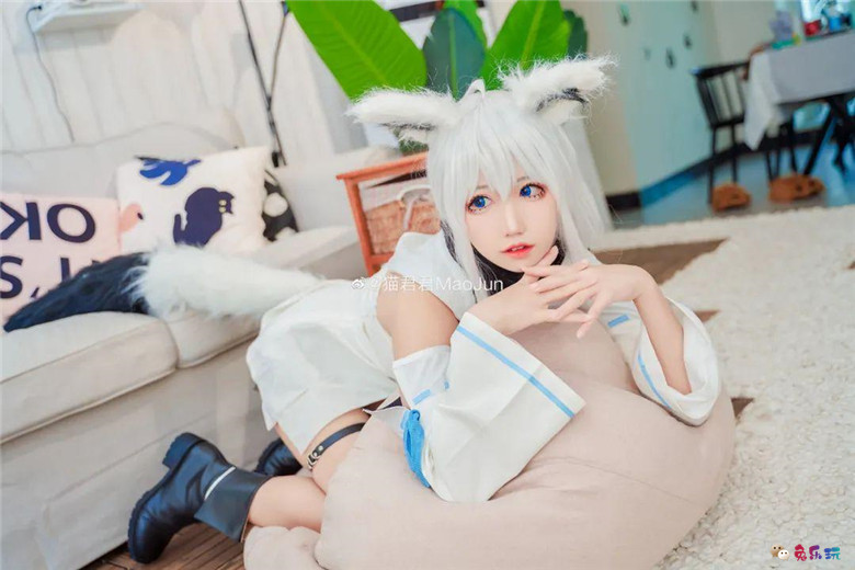 猫君君MaoJun丨《hololive》白上吹雪