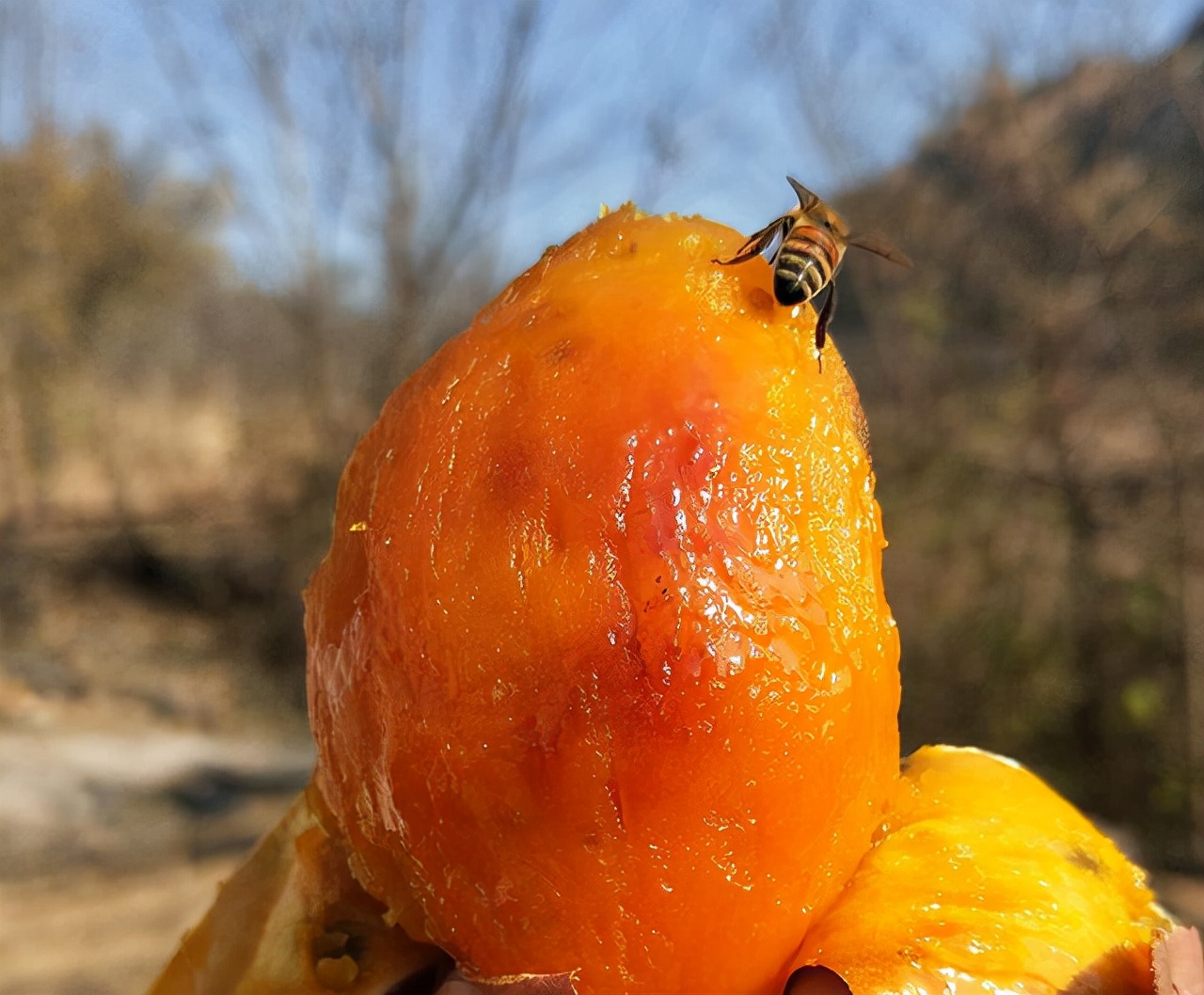 Where is the best sweet potato in China?The sweet potatoes from these 3