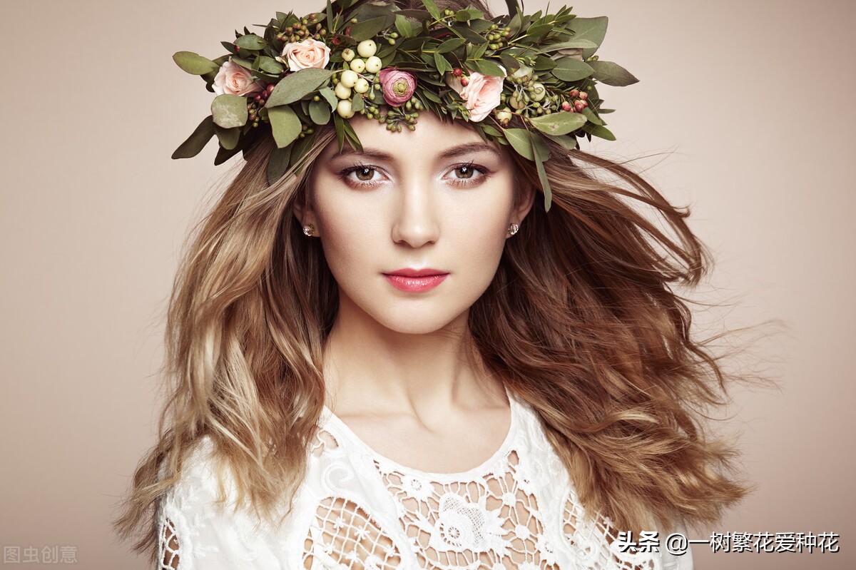 10 beautiful but poisonous flowers, beautiful flowers are poisonous